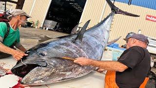 (Educational) Selling a 10 FT Long Bluefin Tuna {You'll NEVER See This on TV}