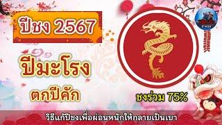 ปีชง2567 ปีมะโรงตกปีคัก ชงร่วม75% และวิธีแก้ปีชงช่วยผ่อนหนักให้กลายเป็นเบา