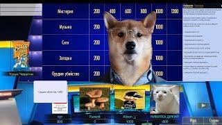 Dawg ещё Своя Игра 09.07.18