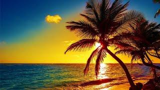 Beautiful Relaxing Music, Peaceful Soothing Instrumental Music, "Island Paradise" By Tim Janis