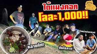 เซียนหรั่ง - วิถีชีวิตแบบมะลายยายอยาก l ตอน ใต้แมงกอก โลละ1,000!!