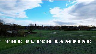 The Dutch Campine - 4K