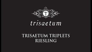 Trisaetum Triplets