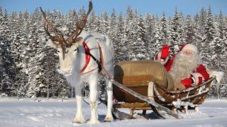 Reindeer Ride of Santa Claus  Christmas departure from Lapland Finland - Santa's message for kids