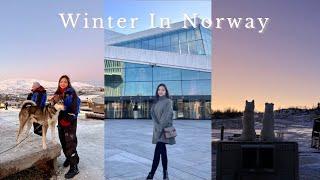 NORWAY VLOG 挪威 自由行  | 一起去北極圈裡最北的城市 | 追北極光 觀鯨魚 坐雪橇 ️