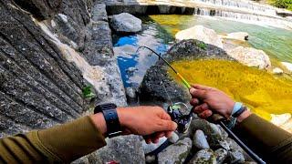 La Tana della Fario d'oro! - Pesca alla Trota a Spinning in Valtellina