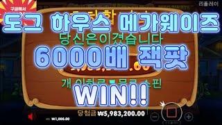 도그하우스 6000배 잭팟 WIN!! #슬롯잭팟 #슬롯리뷰 #프라그마틱