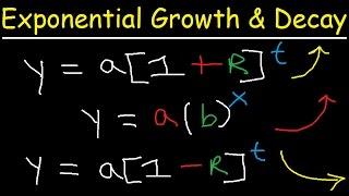 Exponential Growth and Decay Word Problems & Functions - Algebra & Precalculus