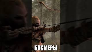 Вся правда о БОСМЕРАХ #shorts #elderscrolls