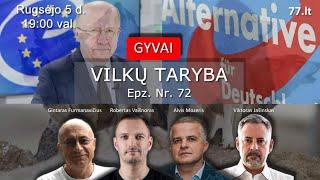 Vilkų taryba 72- EuroPortfelis, Vokietijos rinkimai, Žemaitaičio gausa eteryje