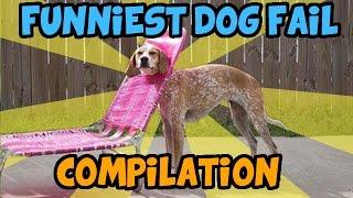 BEST DOG FAIL COMPILATION