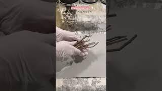 드라이 플라워 정리(feat. 다이소 저장용기) | 공방 재료 정리 꿀팁 |  #정리 #원데이클래스 #공방정리꿀팁 #다이소저장용기