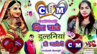 Meena Dj song//शादी song  singer luvkush dungri @GAURI STUDIO MATAJI