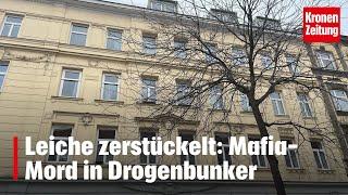 Leiche zerstückelt: Mafia-Mord in Drogenbunker | krone.tv NEWS