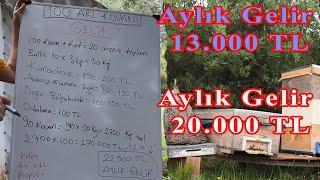 100 ARI KOVANI ile Yılda Ne Kadar Para Kazanabilirsiniz #gelir #arıcılık #para