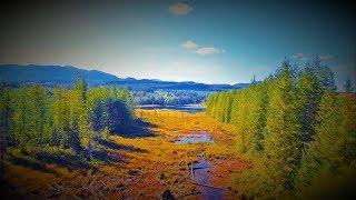 Campbell River's Hidden Secret (the Quinsam River) watch in HD