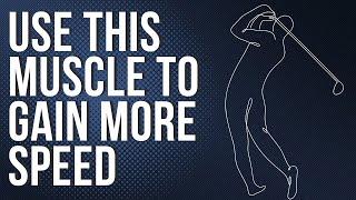 Use This Muscle To Gain TONS of Club Speed In Your Golf Swing