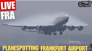 Live Planespotting Frankfurt Airport 