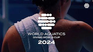 Diving World Cup 2024