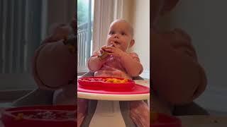 Baby tries  steak for the first time! 🫶 #shorts #rollercoaster #babyledweaning