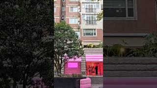 Pink Pop Up Store In Shanghai #shanghai #travel #citywalk