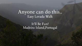 Levada do Alecrim with our Cairn Terrier | Living in Portugal  |It'll be Fun