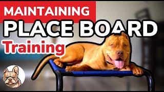 Maintaining Place Command For Your Dog or Puppy … Dog Training