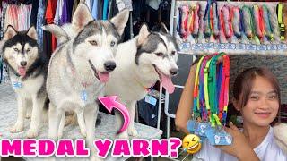 Dog Tags For Our Pack! | THEY LOVE IT! | Husky Pack TV