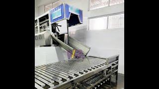 #WFA Pig Abattoir Meat Processing Three Points Electric Stunning Conveyor For Slaughter Equipment#