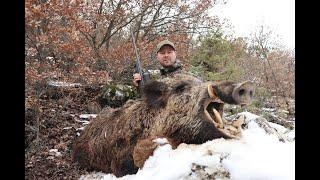 Wild Boar Hunting in Turkey 2020  - Vildsvinejagt i Tyrkiet 2020 - Jagt i Tyrkiet 2020