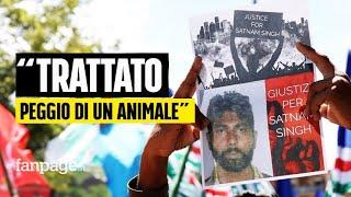 Dopo la morte di Satnam denunce in aumento, parla il collega che l'ha soccorso: "Vogliamo giustizia"