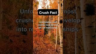 Love & attraction explored! Bite-sized insights. Subscribe now! #RelationshipFacts #CrushFacts