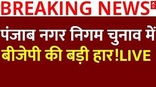 Punjab Election Live News : पंजाब नगर निगम चुनाव में बीजेपी की बड़ी हार!LIVE