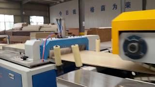PVC Foam Decorative Wall Board production line--GPM machinery