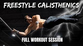 Welcome to the Freestyle Zone - Calisthenics Workout