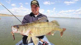 Bottom Bouncers for Walleyes