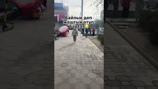 Байлык