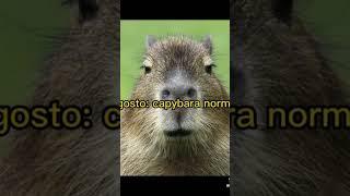 Que capybara eres según Tu mes De Nacimiento parte 2  (final) #capybara #viral #tiktok #shorts