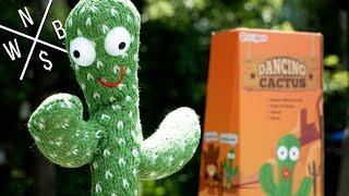 QROOPER Dancing Talking Cactus Toy - Unboxing & Review