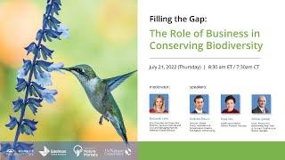 Filling the Gap: The Role of Business in Conserving Biodiversity