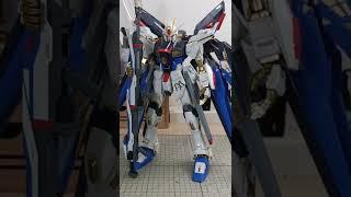 PG STRIKE FREEDOM