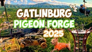 GATLINBURG - PIGEON FORGE 2025 - Anakeesta, Dollywood, Wildside, Shows & Cabins