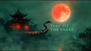 Year of the Snake: A Mesmerizing Lunar Journey | Lunar New Year Ambience