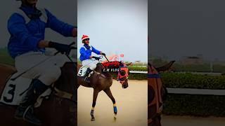 #horseracing #krc #horselovers #equestrian #youtube #youtubeshorts