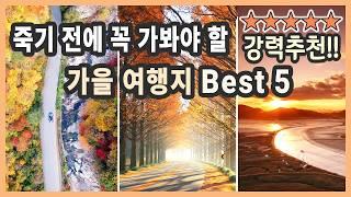 죽기 전에 가봐야 할 가을 여행지 베스트 / 문광저수지, 순천만, 담양 메타세콰이어, 옥계계곡 드라이브, 속삭이는 자작나무숲 / 국내여행 추천, 가을여행