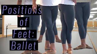 What are the 5 foot positions in ballet? | Elisha Nilsen | Male Ballet Dancer