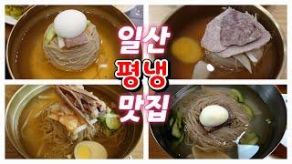 일산 평양냉면 맛집들을 모아봤습니다! Pyongyang Naengmyeon Restaurant 일산에서 오래되고 유명한 평냉집들입니다.