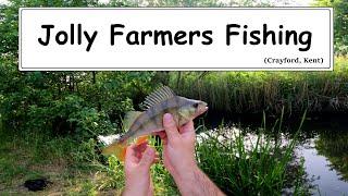 Jolly Farmers Fishing at Crayford Kent | Perch