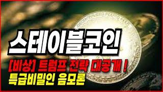 [스테이블코인 섹터분석] 음모론 심층 분석 !