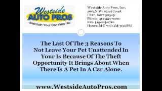 Ford Repair West Des Moines | 3 Reasons To Not Leave Your Pet Unattended In Your Car